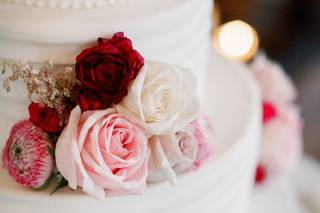 Diana Lupu Photography - 1