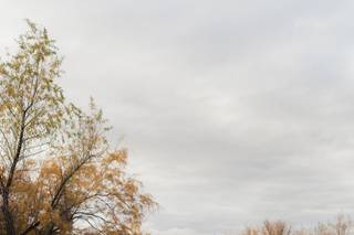 Alexandra Loraine Photography - 11