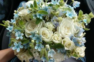 Chevy Chase Florist - 22
