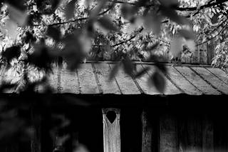 The Farm - 43