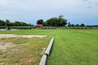 Whistler's Knoll Vineyard - 30