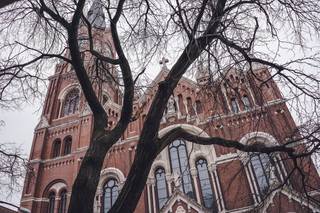 Lilly Photography - 22