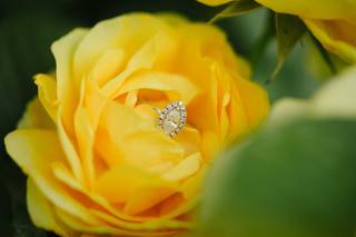 Mira Photographs - 51