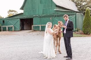 Chukkar Farm Event Facility & Polo Club - 5
