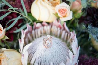 Lauren Cherie Photography - 7