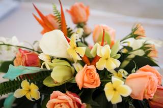 Paradise Petals - 20