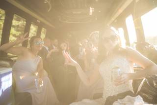 Mark Hawkins Photography - 5