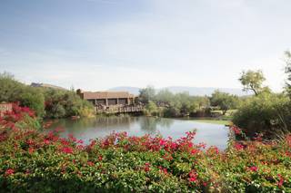 Loews Ventana Canyon - 5