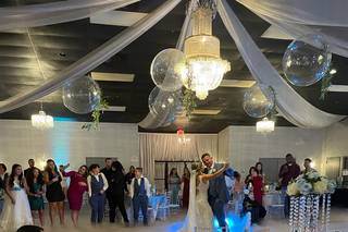 Party vibes entertainment llc - 23