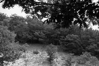 Spencer Penfield Photography - 17