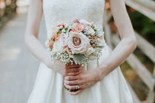 Mark Elkins Photography - 5