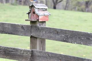 Summit Farm Weddings - 88