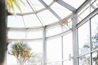 The Greenhouse at Driftwood - 6