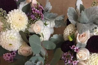Mayfly Flowers - 117