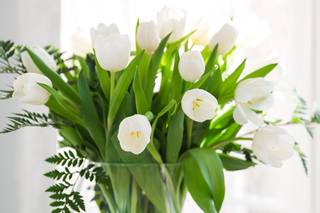 Julia Larina Photography - 5