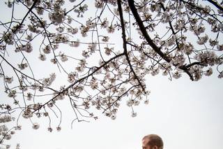 Kathy Blanchard Photography - 9