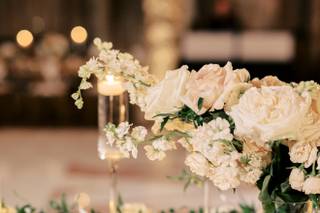 Judy Cordell Events - 12