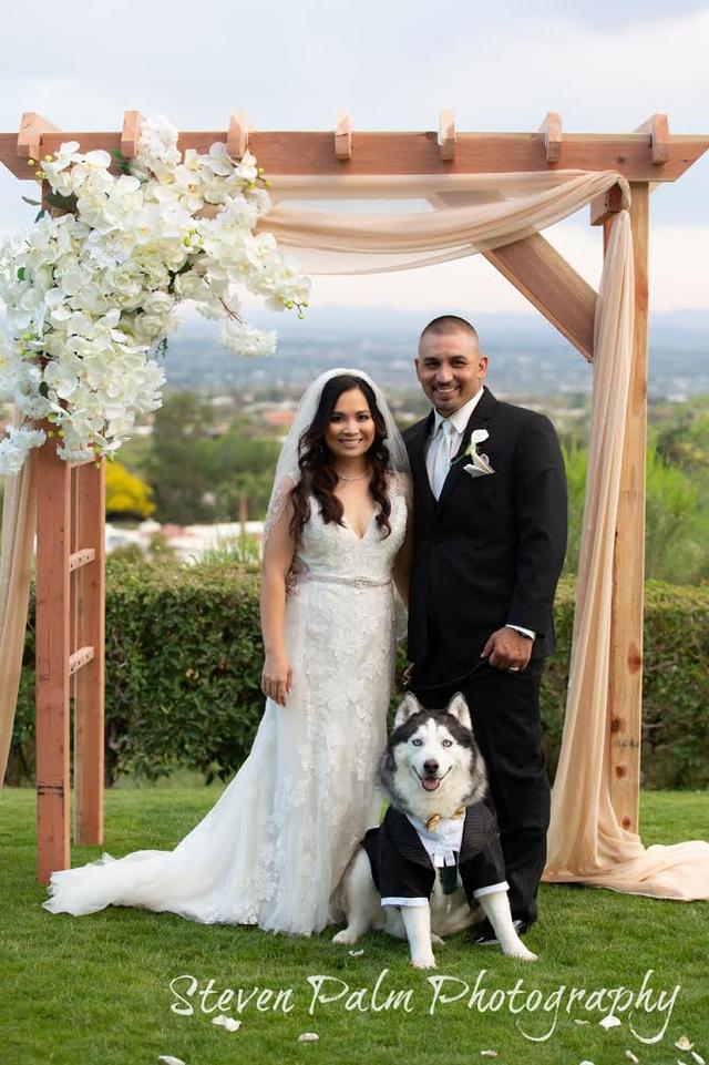 Steven Palm Photography - 2