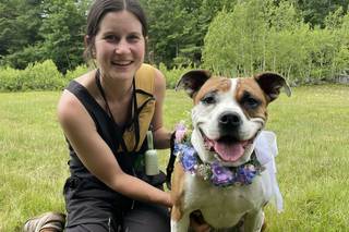 Harriet’s Hounds: Dog Walking & Pet Sitting - 9