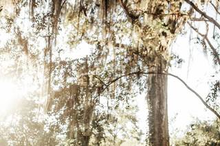 Elisabeth Joy Photography - 20