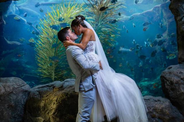 The Florida Aquarium 4