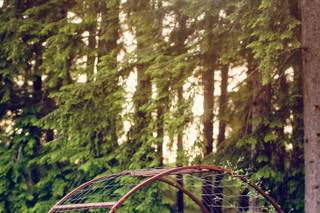 Kelli Hodges Photography - 12