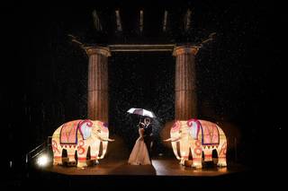 Allison Jansen Photography - 5