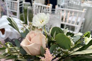Alyssa Jean Signature Events - 20