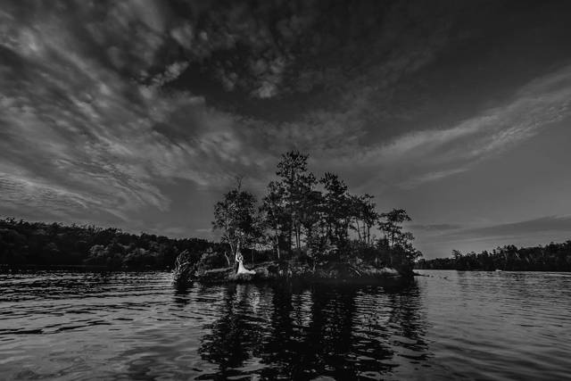 Vick Photography 1