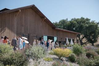 Zaca Mesa Winery - 29