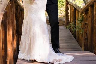 Arrowhead Pine Rose - 47