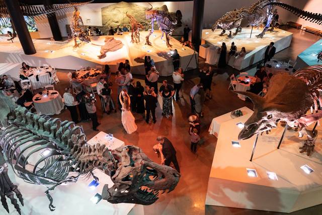 The Houston Museum of Natural Science 2