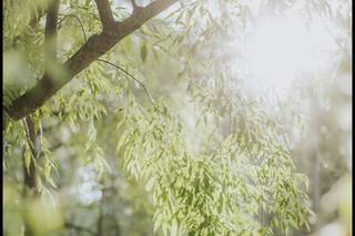 Rebecca Skidgel Photography - 65