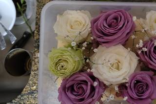 Global Rose 1
