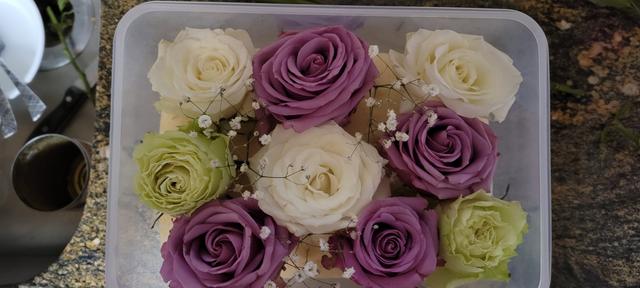 Global Rose - 4