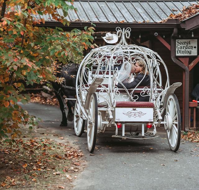 Forrest Hills Mountain Resort - 3
