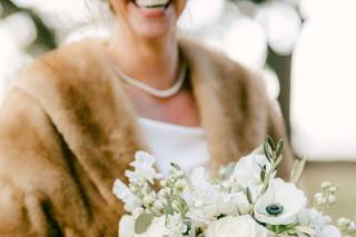 Frampton's Flowers - 8