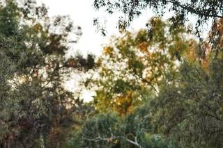 Jasmine Lea Photography - 11