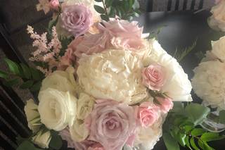 Lovely Peonies - 140