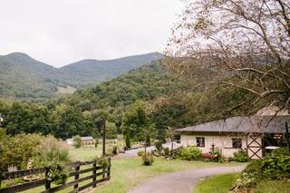 The Fields of Blackberry Cove - 21