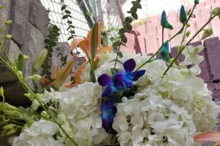Mountain Florals - 18