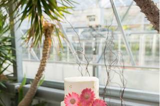 Carina e Dolce, Specialty Cakes & Cookies - 20