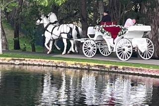 Grand Tradition Estate & Gardens - 44