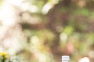 Drew Bird Photography - 11