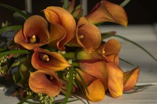 Island Photography - 11