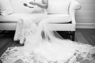 blackcap photography - 38