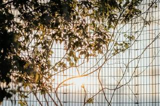 Indian Summer Photography - 7