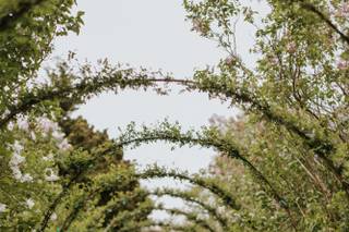 Bernard Alexis Photography - 28