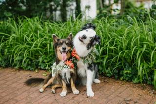 BG Photography Studios - 22