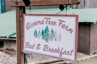 Jen Mertz Photography - 10
